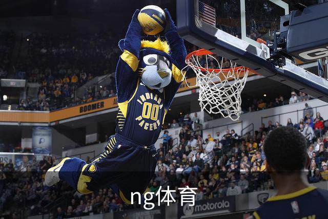 ng体育公司简介图片